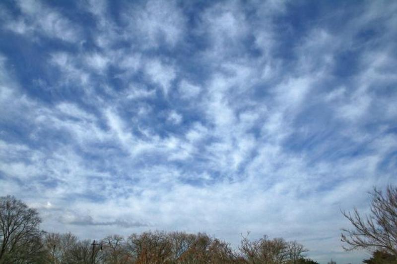 Weather set to get mild this week