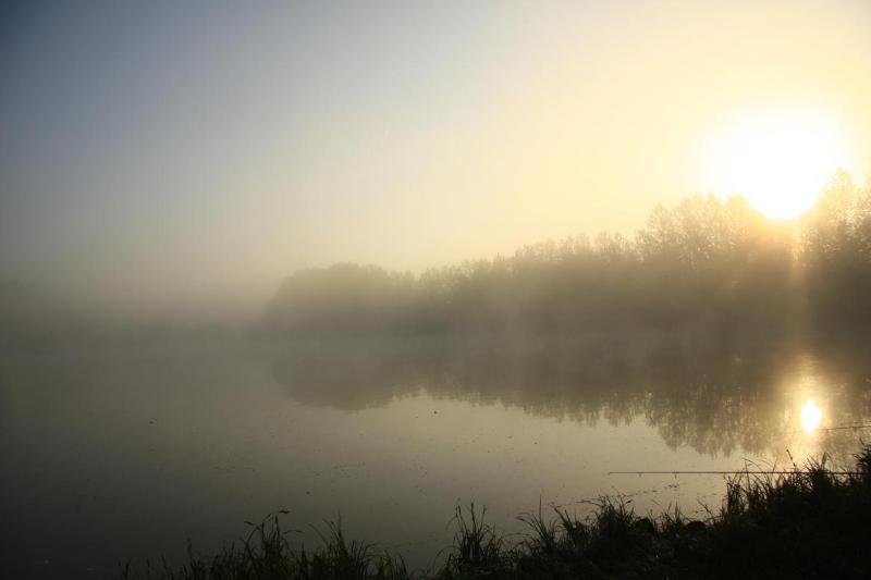 Misty and  mild weekend in Leitrim
