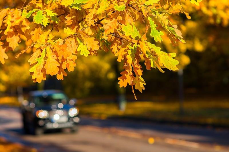 How to apply for a provisional licence