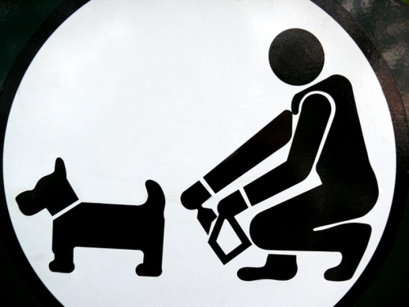 Leitrim among lowest in Ireland for dog fouling penalties 