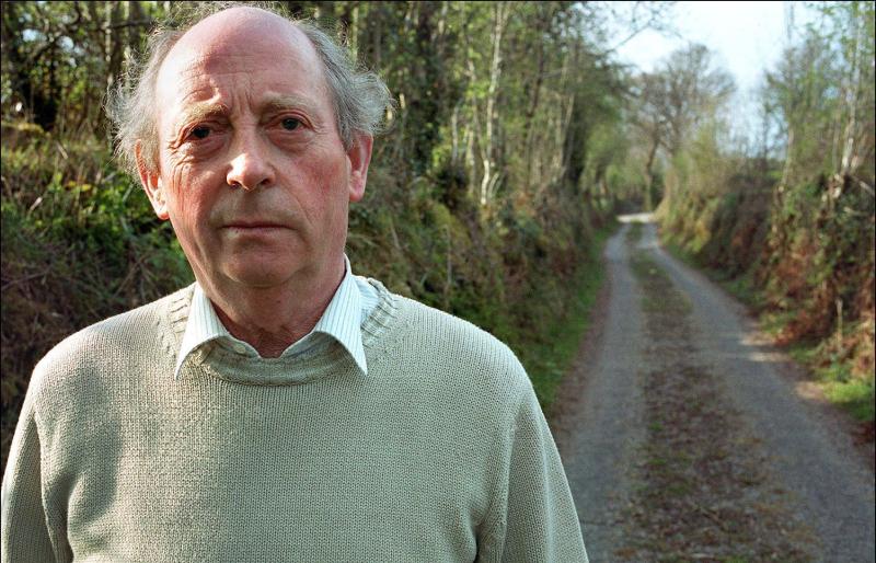 Prospecting for Gold - A year with the McGahern Papers