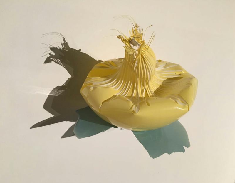 'A Bounce Borrowed' Carrick-on-Shannon exhibition