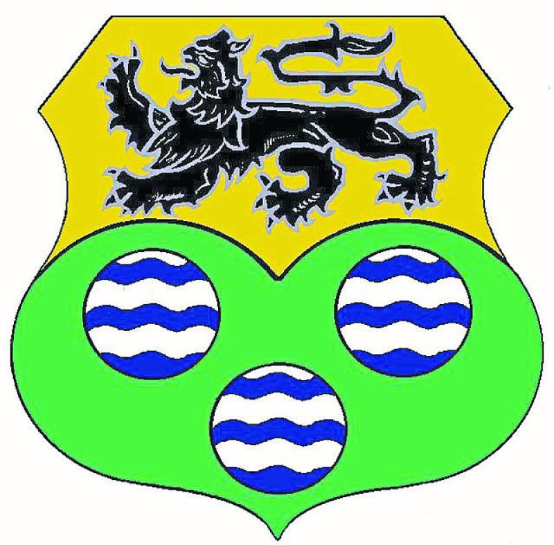 Council supports being provided for Mohill
