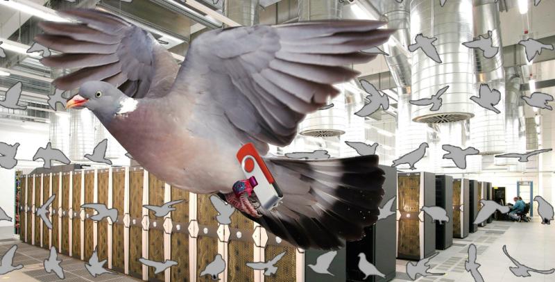 Yes, Leitrim really has some of the worst broadband coverage in the country