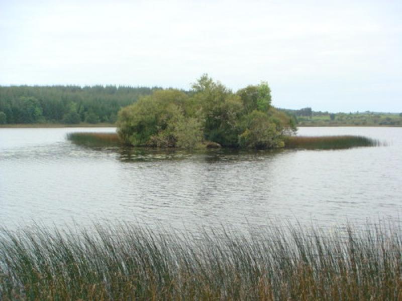 Leitrim Astronomy Club