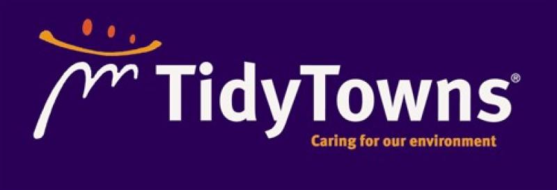 Tidy Towns event