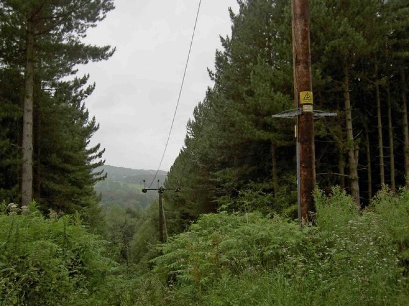 Farmers asked to notify ESB of any downed power lines