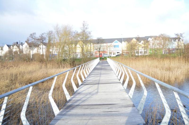 Wants Linear Park in Carrick to be maintained