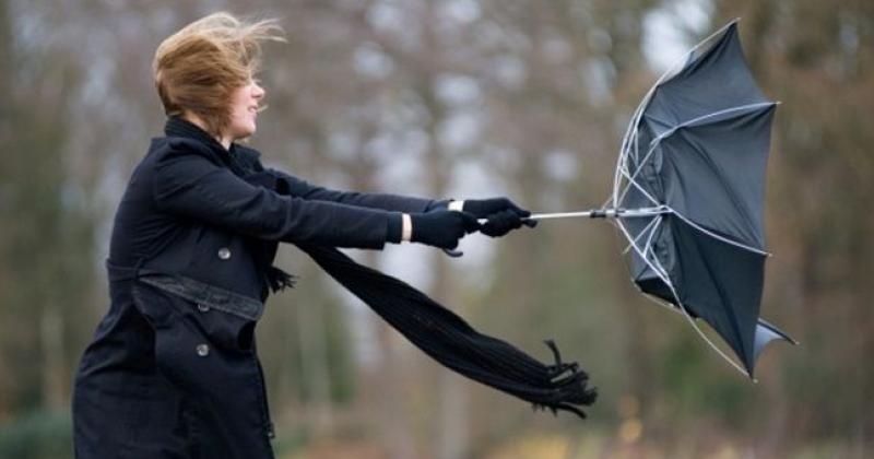 It's going to be a windy day in Leitrim