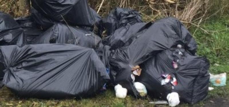 13 bags of rubbish dumped illegally on Kildare road overnight