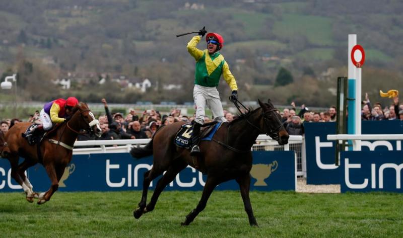 THE PUNTER'S EYE: 'Supasundae' upset on the cards for Harrington 
