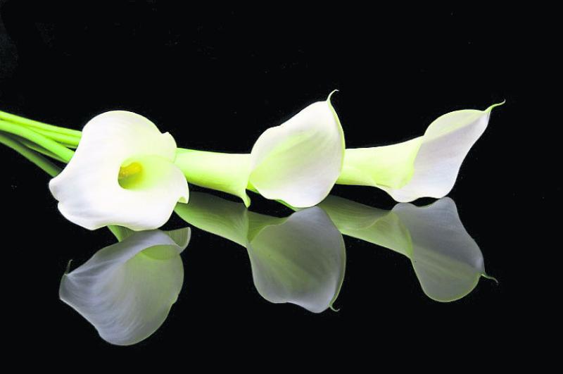 Deaths in Leitrim - April 12, 2017 - evening update