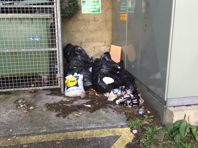 Co Leitrim councillor is appalled by dumping and 'rise in anti-social behaviour'   