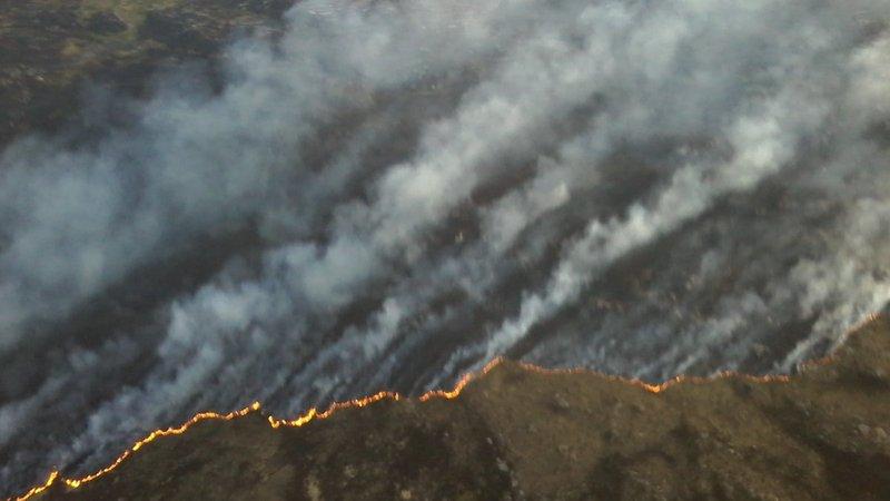 Gorse fire is under control
