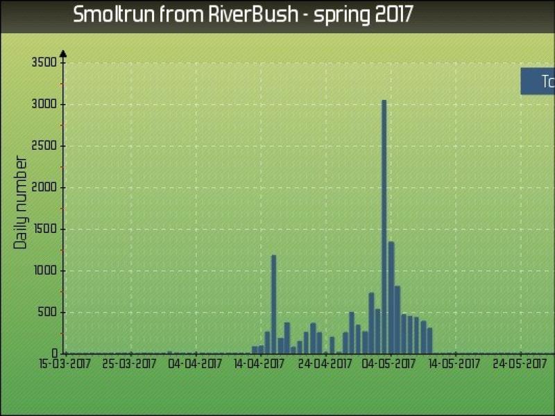 IFI launches the SMOLTRACK Project