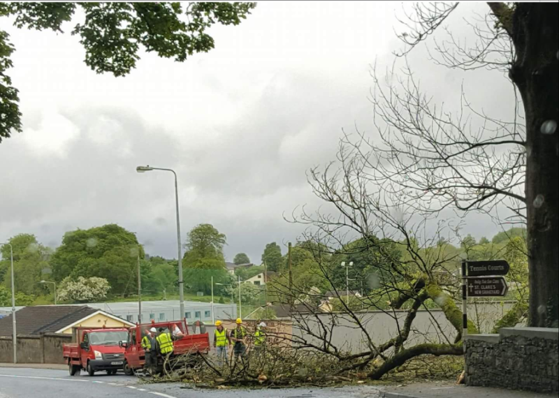 Tree down in Manorhamilton