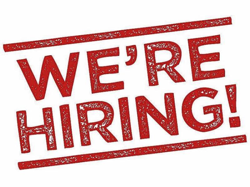 job alert