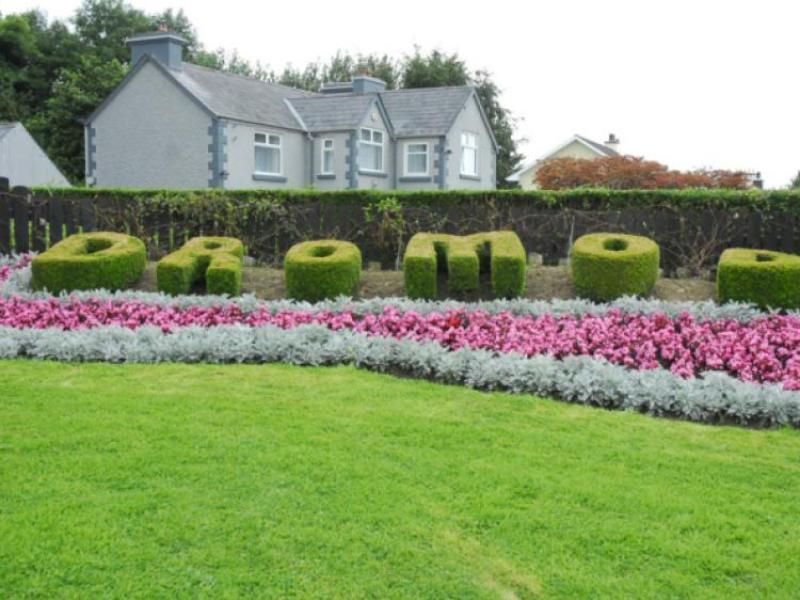 Appeal for volunteers in Dromod