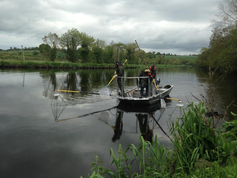 River Barrow