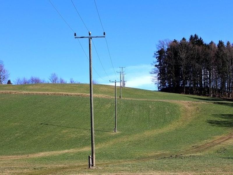 Farmers should be compensated for inconvenience caused by ESB poles believes Cllr Padraig Fallon