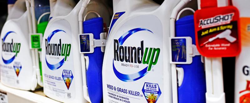 Campaign for Leitrim Council to ban glyphosate based weedkillers 
