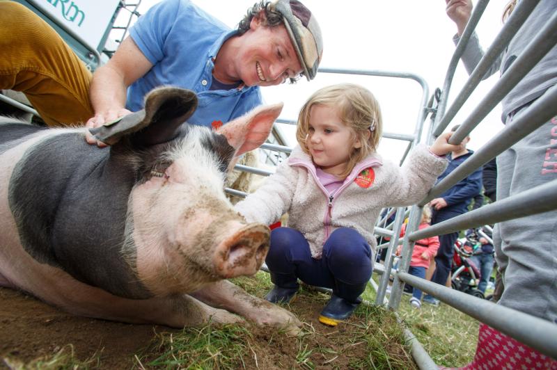 Pig classes cancelled at Tullamore Show amid Swine Flu fears