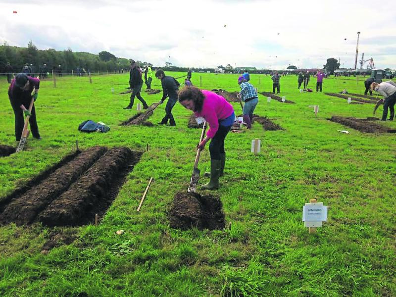 National Ploughing: Loy Digging in Screggan last year