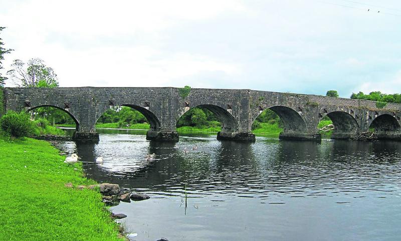 Drumsna Tidy Towns praised for their strong relationship with local community groups