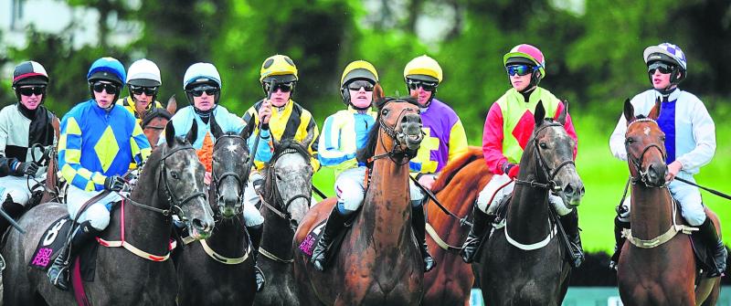 Sligo races