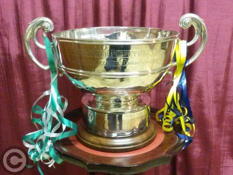 YOU VOTED - Mohill and Leitrim Gaels favoured for glory in Observer poll
