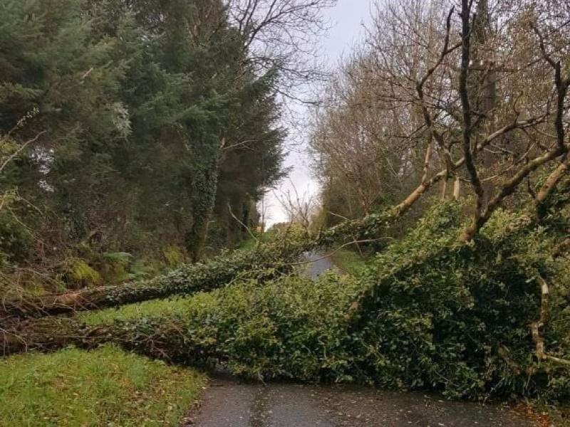Ophelia: Motorists advised to exercise extreme caution