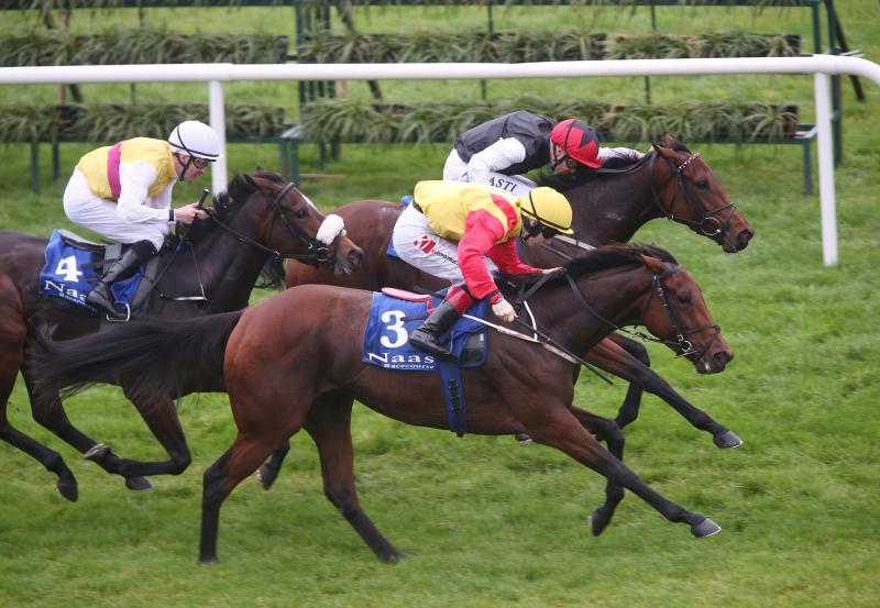 Exciting Finale to 2017 Flat Championships