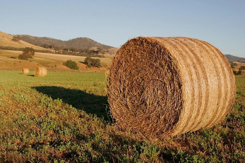Meeting set to address Donegal fodder crisis