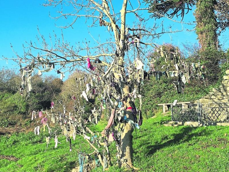 Lecture on the customs, cures and curses of Holy Wells