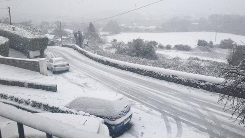 Laois school bus skidded into a ditch on icy roads