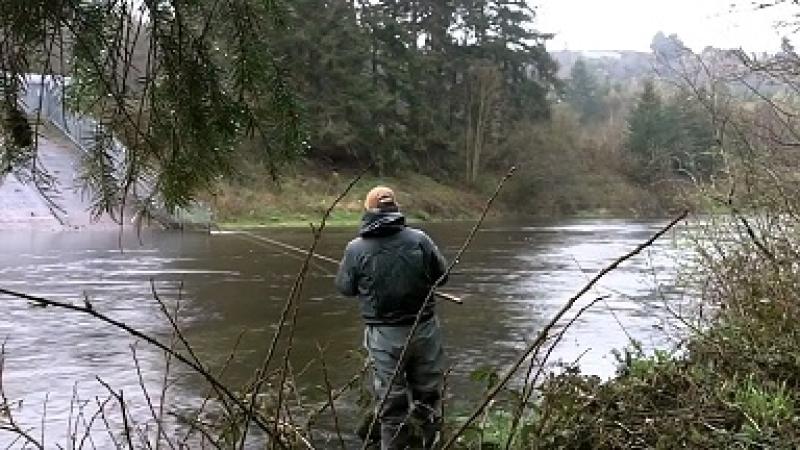 78 rivers open for salmon angling in 2018