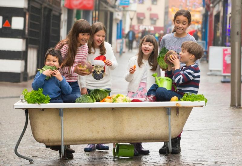 Deadline for applications for €75,000 ‘Get Ireland Growing’ Fund looming for Leitrim