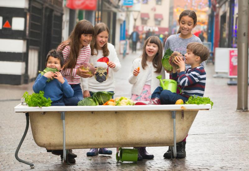 Deadline for applications for €75,000 ‘Get Ireland Growing’ Fund looming for Longford