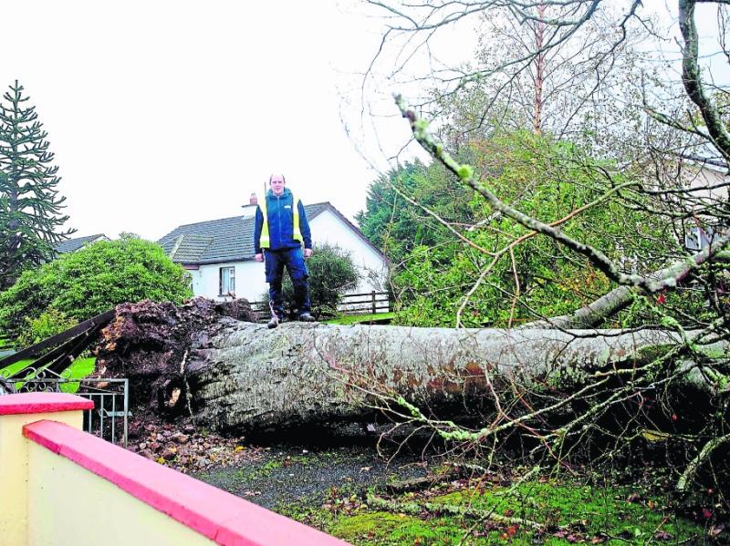 County escapes the worst of Storm Ophelia - A look back at October 2017