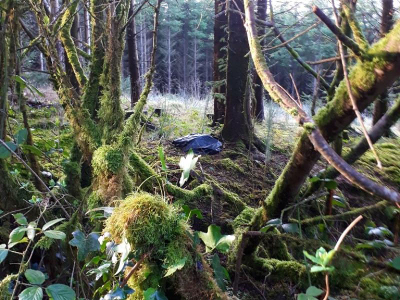 Illegal dumping in south Leitrim this morning