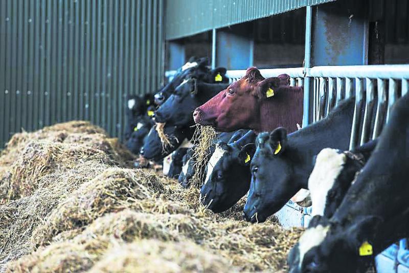 Late ACRES payments "disgraceful"