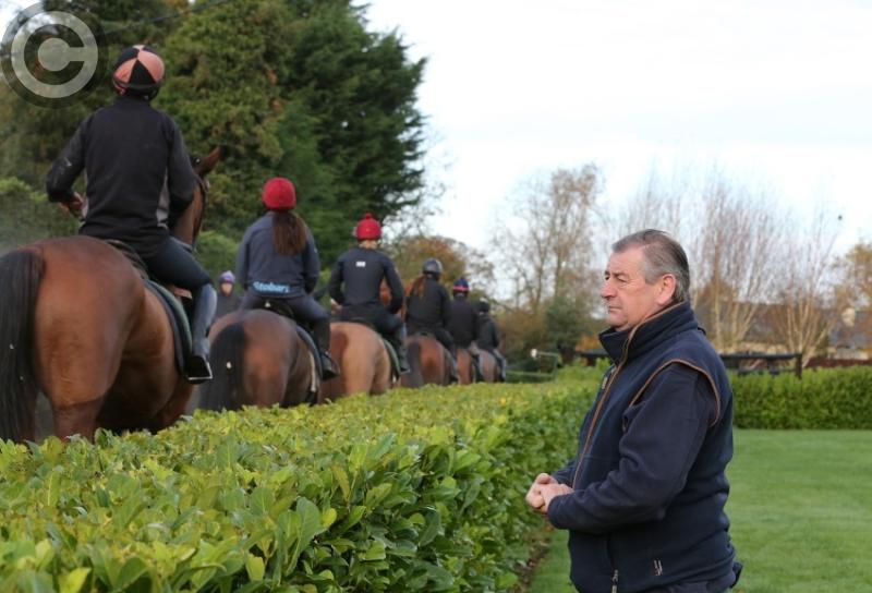 Get the inside scoop on Cheltenham - in Athlone!