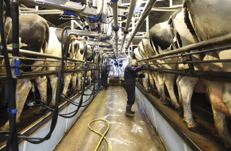 Milk shortage could be on the way says Laois IFA chairman #stormemma #beastfromtheeast