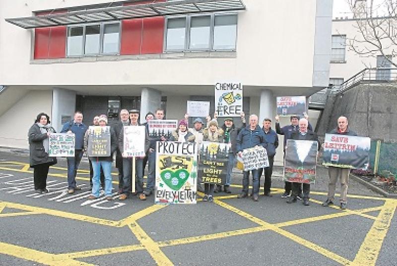 Leitrim councillors back call to amend County Development Plan on forestry 