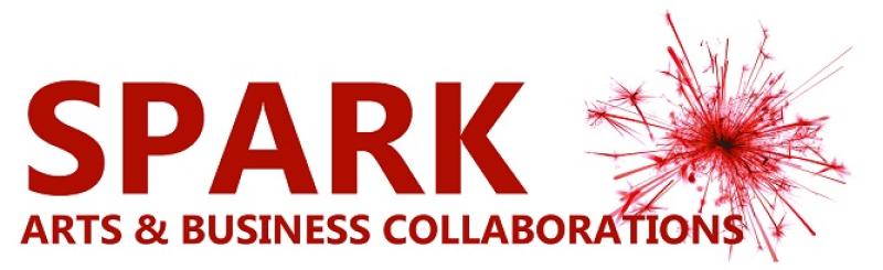 Call for Leitrim Companies to take part in Spark Arts programme