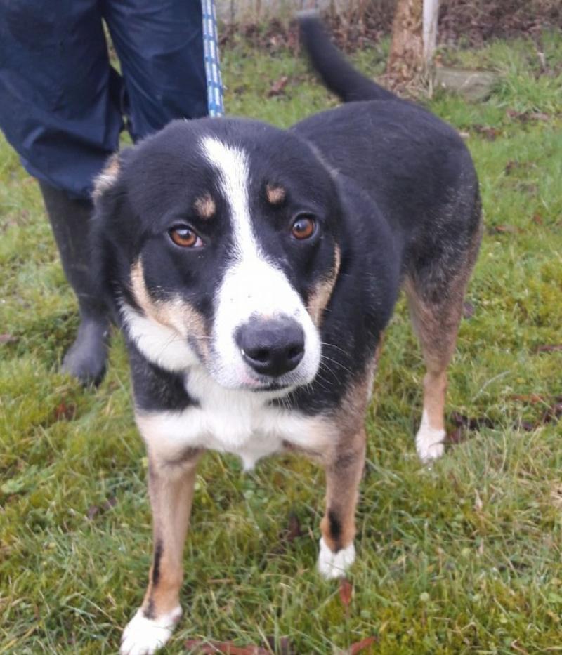 Dave is looking for a new home