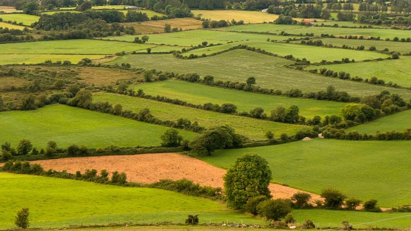 Farmland 