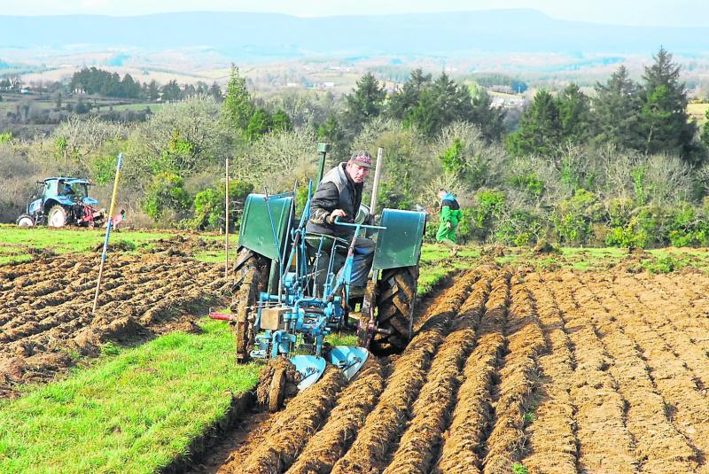 No sod will be left unturned in the Leitrim Observer virtual ploughing championships