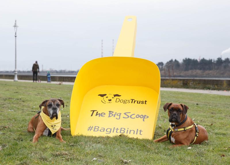 Do you have a problem with dog fouling  in your area?