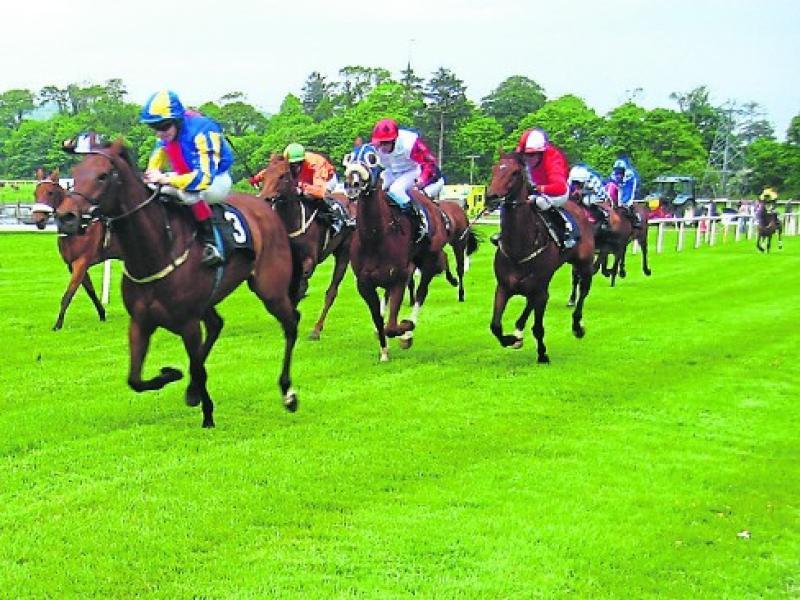 Sligo races under starter's orders  on Sunday